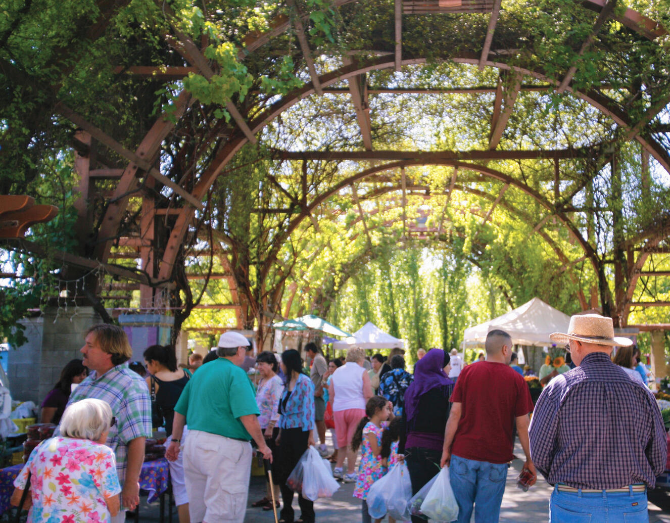 克洛维斯的早市