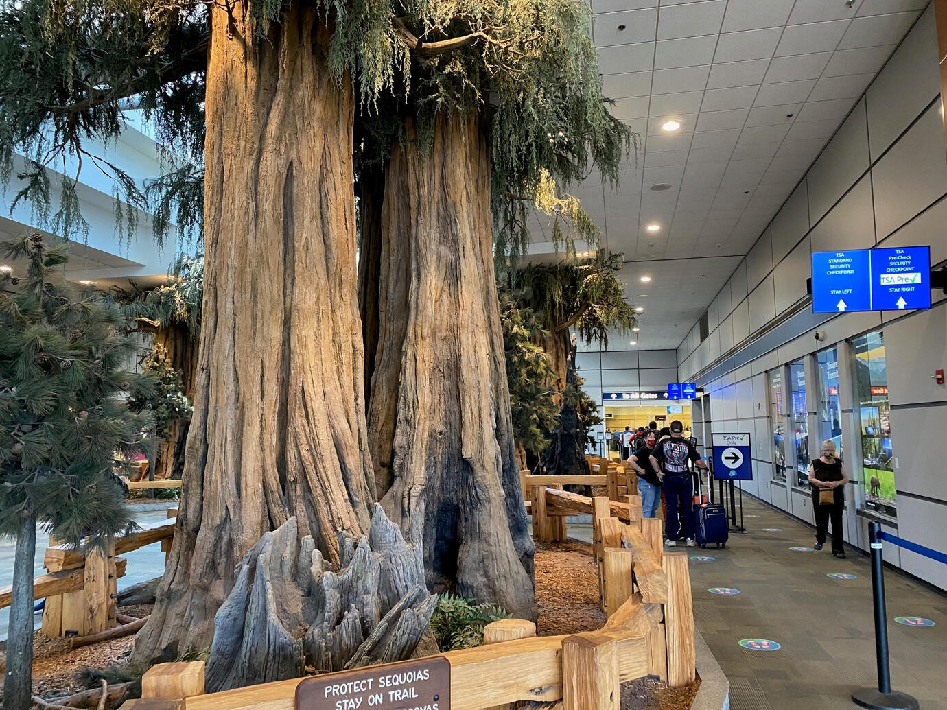 弗雷斯诺优胜美地国际机场